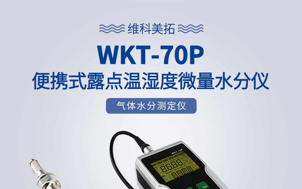 便携式露点温湿度微量水分测定仪 细节图 6